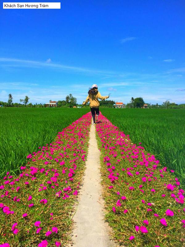 Khách Sạn Hương Tràm