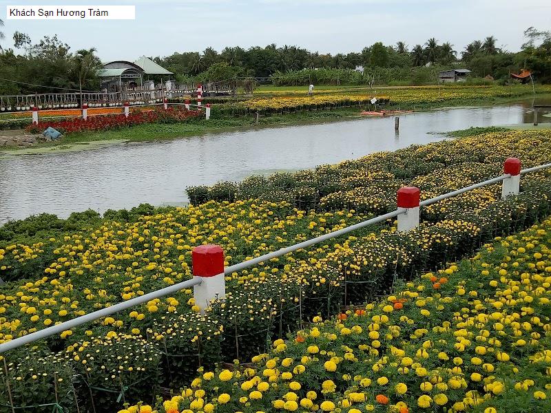 Khách Sạn Hương Tràm
