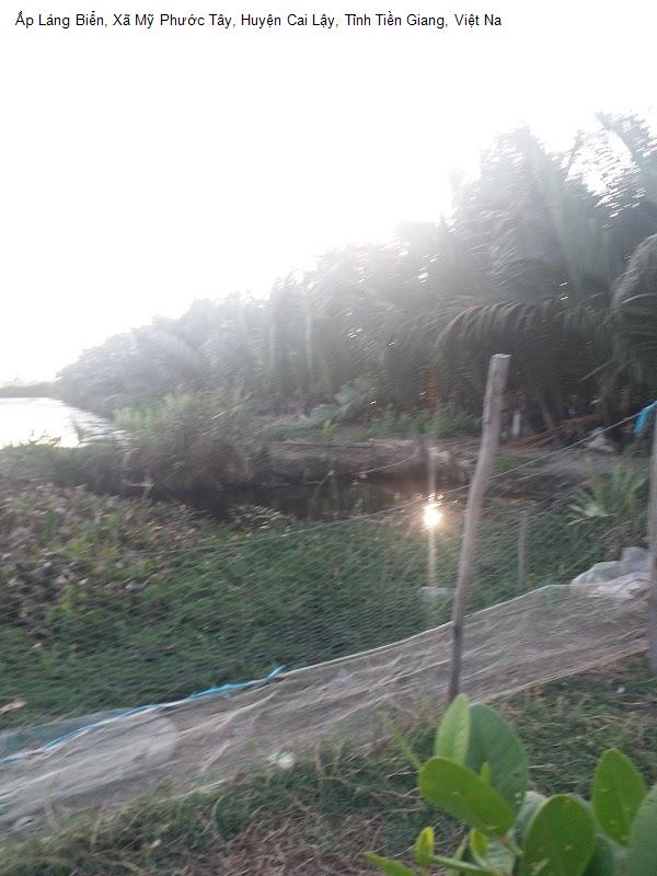 Ấp Láng Biển, Xã Mỹ Phước Tây, Huyện Cai Lậy, Tỉnh Tiền Giang, Việt Na