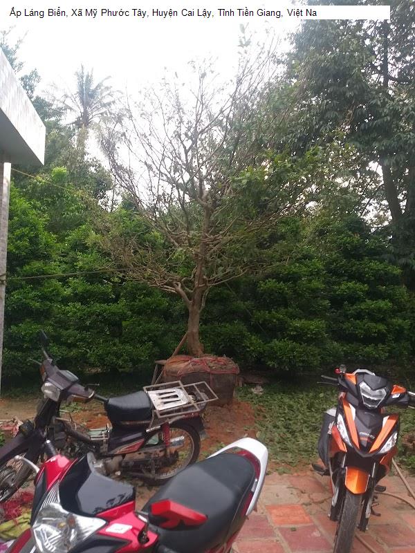 Ấp Láng Biển, Xã Mỹ Phước Tây, Huyện Cai Lậy, Tỉnh Tiền Giang, Việt Na