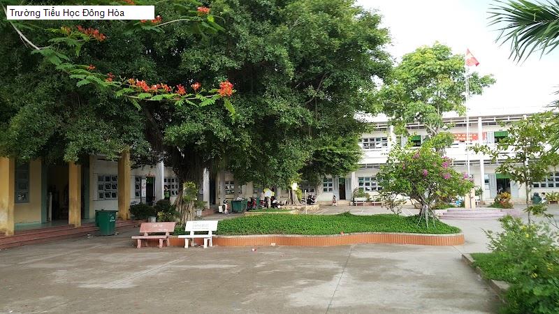 Trường Tiểu Học Đông Hòa