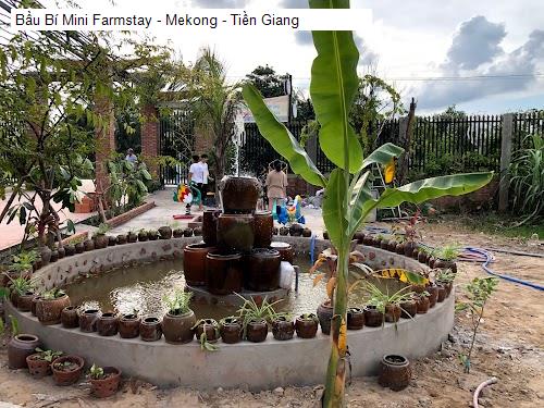 Bầu Bí Mini Farmstay - Mekong - Tiền Giang